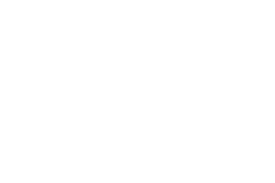 ION Plus 2